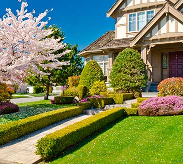 Landscaping Design and Maintenance